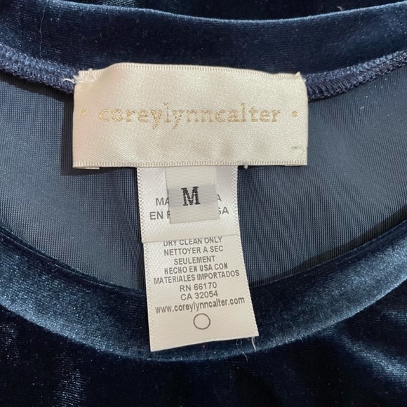 Anthropologie Corey Lynn Calter Velvet Tee - Picture 6 of 6